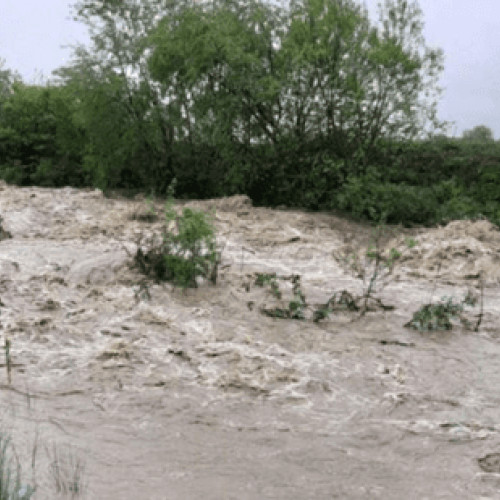Cod galben de viituri în șase județe
