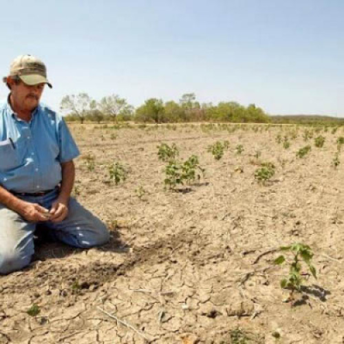 Fermierii pot depune cererile de despăgubire până pe 19 august