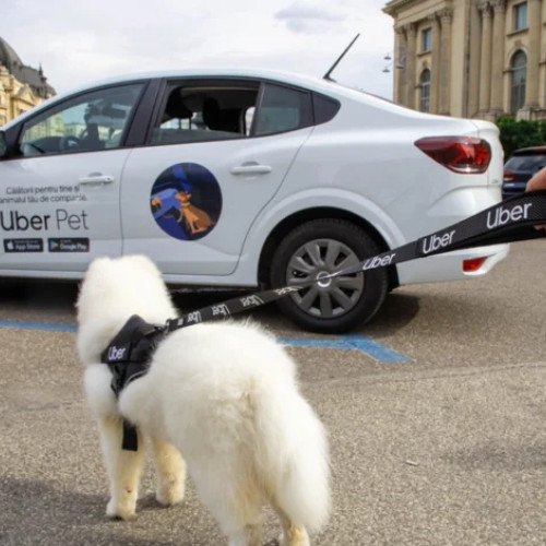 Uber lansează un nou serviciu pentru proprietarii de animale de companie