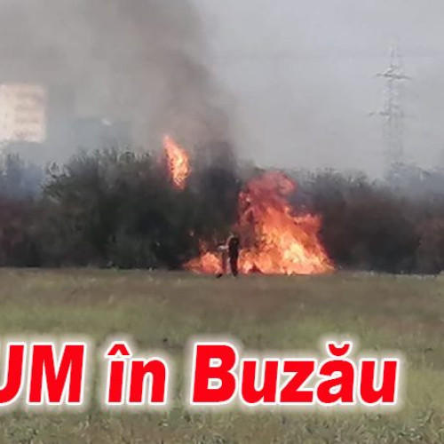 Incendiu de vegetație observat din orașul Buzău