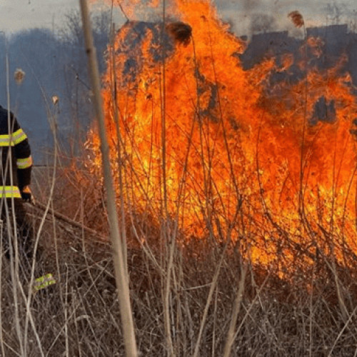 Incendiu în zona industrială a municipiului Buzău