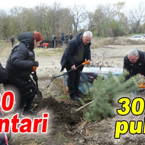 Peste o sută de voluntari au plantat copaci în parcul nou din Buzău