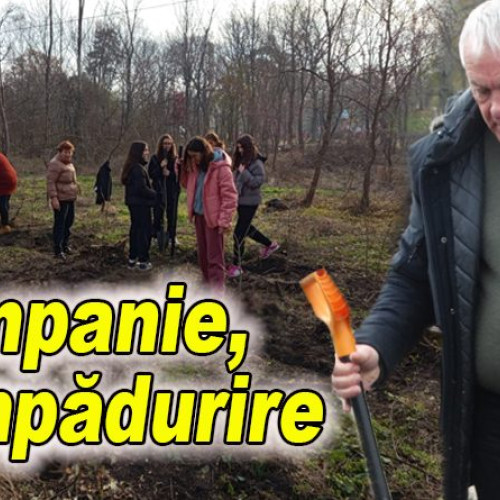 Campanie de reîmpădurire în Pădurea Crâng, în ciuda zvonurilor false