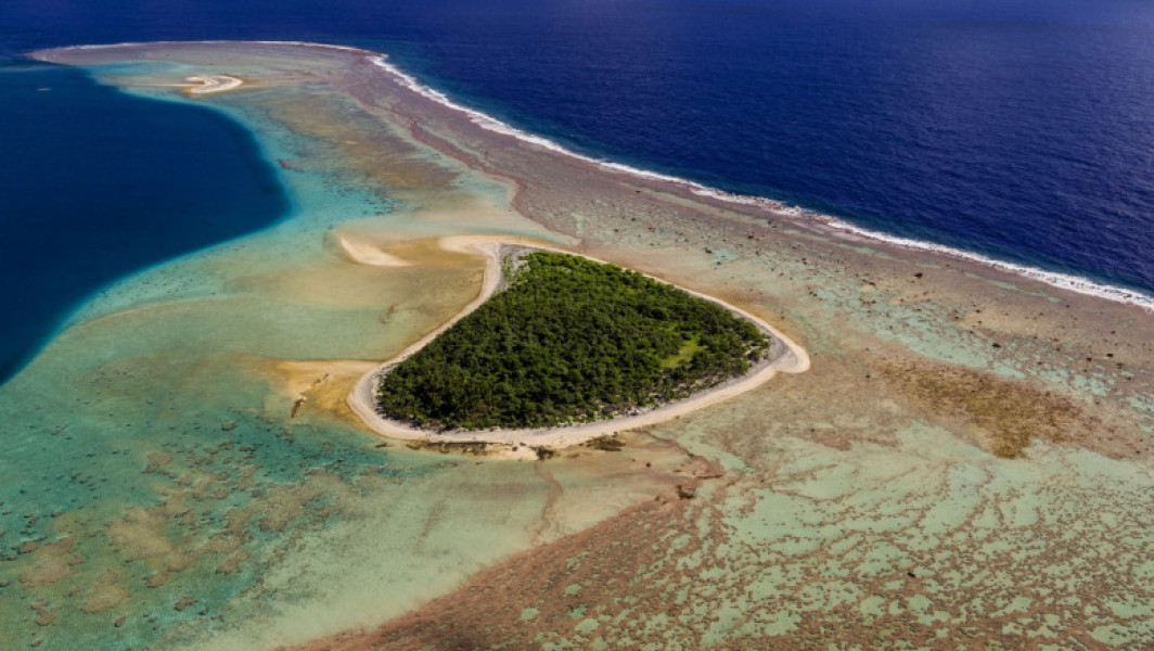 Donald Trump reautorizează pescuitul comercial în sanctuarul marin din Pacific