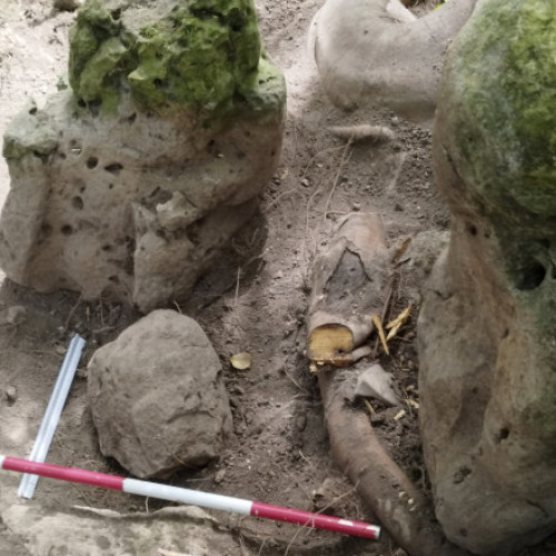 Descoperire arheologică importantă în Guatemala: situri mayașe vechi de aproape 3.000 de ani