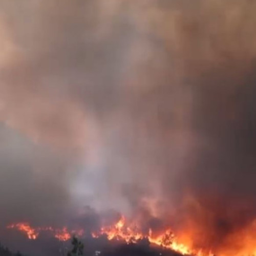 Femeie georgiană, acuzată de incendii pe insula Chios, va trebui să se prezinte în fața instanței