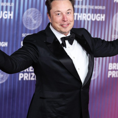 alicea expert: fostul prieten al lui elon musk il avertizeaza pe trump despre razbunarea mogulului