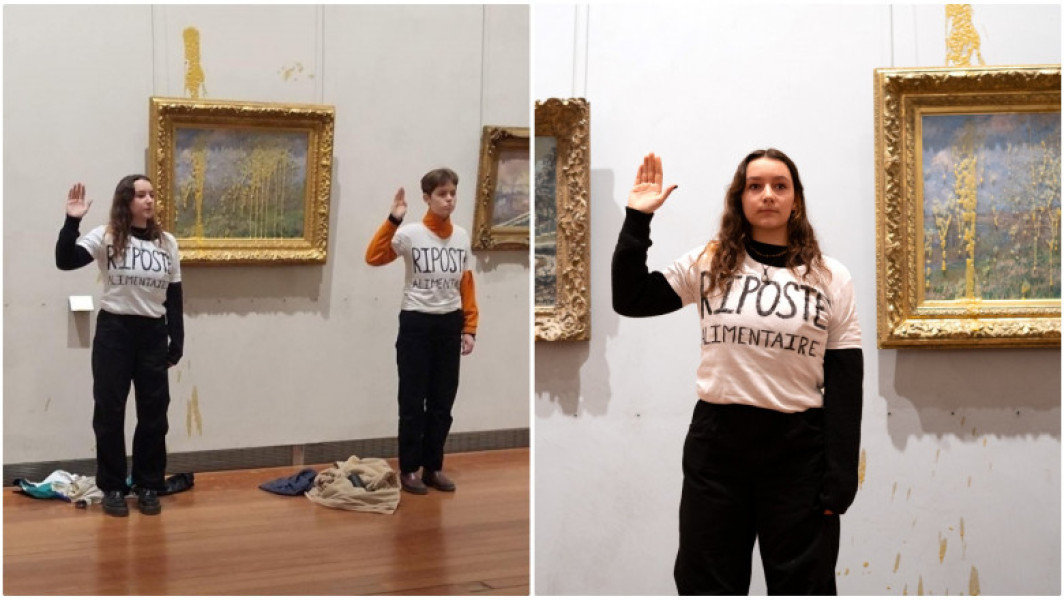 Două activist, gest șocant la Muzeul din Lyon
