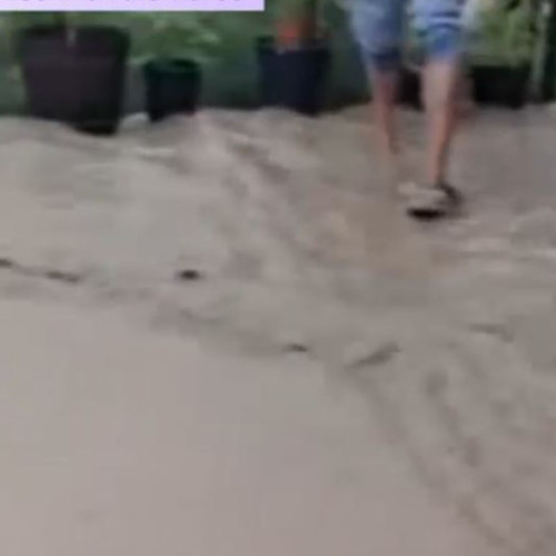 VIDEO Rupere de nori în Maramureș și Suceava: Furtuna a făcut ravagii în Sighetu Marmației