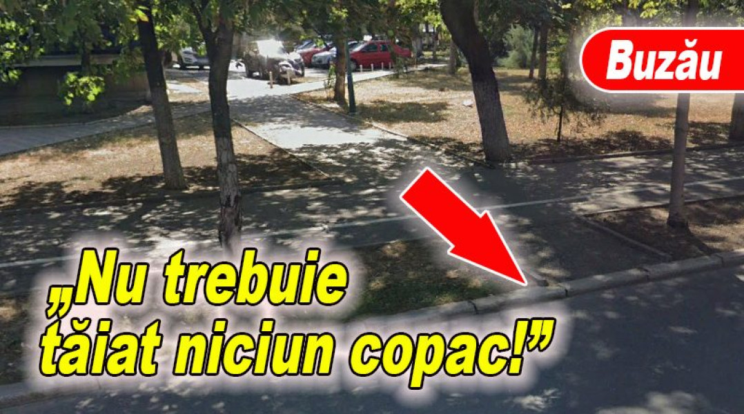 Un locatar din Crâng solicită o alee nouă către Bulevardul N. Bălcescu