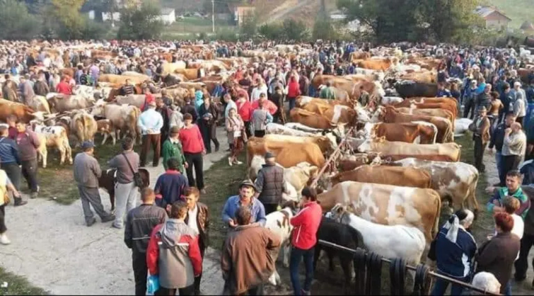 Târgurile din Buzău continuă să interzică vânzarea animalelor din cauza pestei porcine
