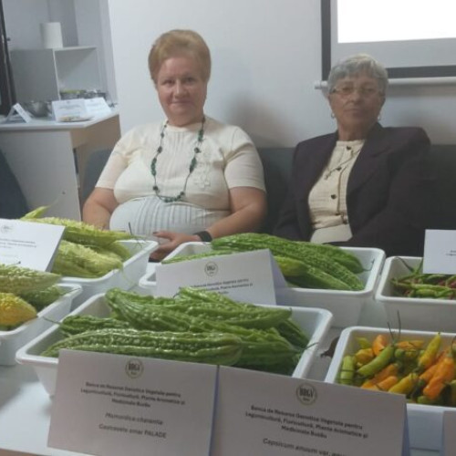 Noaptea Cercetătorilor Europeni la Buzău a adus știința mai aproape de public