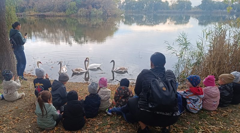 Copiii cântă încântați alături de lebede în parc
